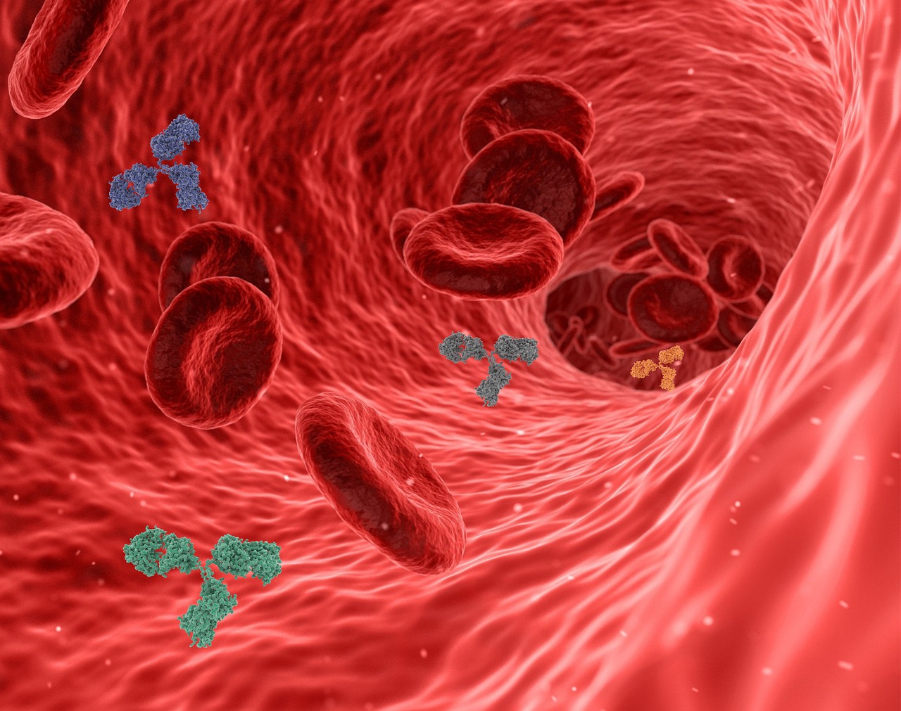 Immunity Science